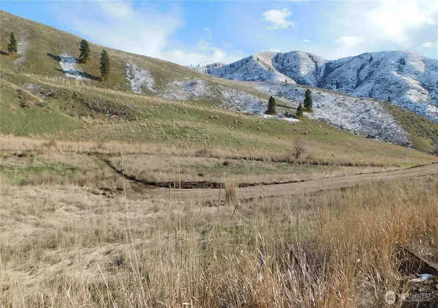 Land for sale at 8013 Nahahum Cyn Rd, Cashmere, WA 98815 | MLS# NWM2481294