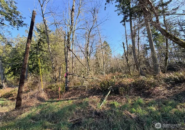 Photo 3 of Land for sale at 0 Xxx Scatchet Head Rd, Clinton, WA 98236 | MLS# NWM2481303 | Listing updated on 2026-09-17