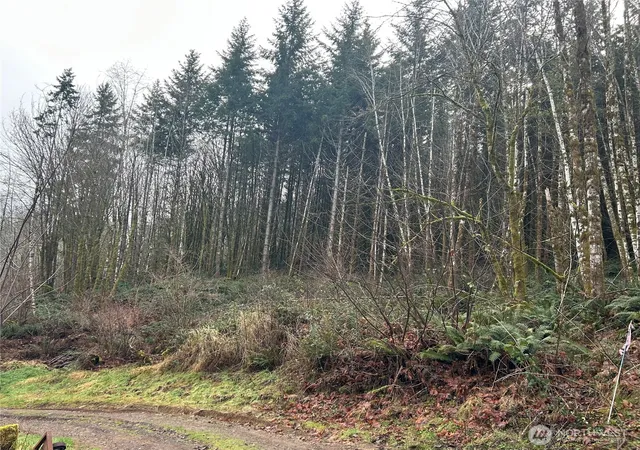 Photo 1 of Land for sale at 514 Berry Rd, Chehalis, WA 98532 | MLS# NWM2481364 | Listing updated on 2026-09-17