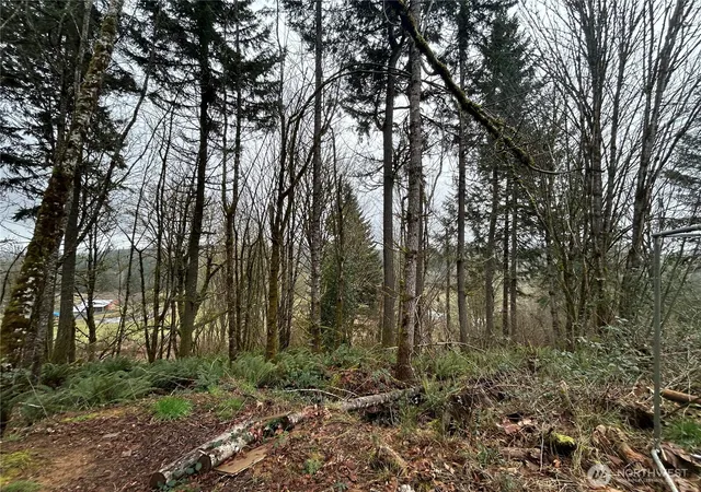 Photo 3 of Land for sale at 514 Berry Rd, Chehalis, WA 98532 | MLS# NWM2481364 | Listing updated on 2026-09-17