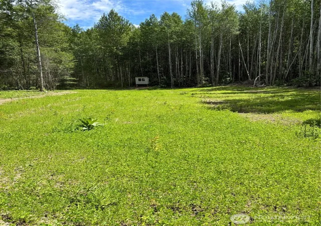 Photo 2 of Land for sale at 0 Entiat River Rd, Entiat, WA 98822 | MLS# NWM2481434 | Listing updated on 2026-09-17