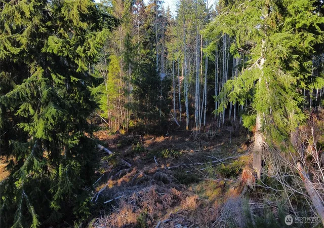 Photo 1 of Land for sale at 579 Thomas St, Forks, WA 98331 | MLS# NWM2481458 | Listing updated on 2026-09-17