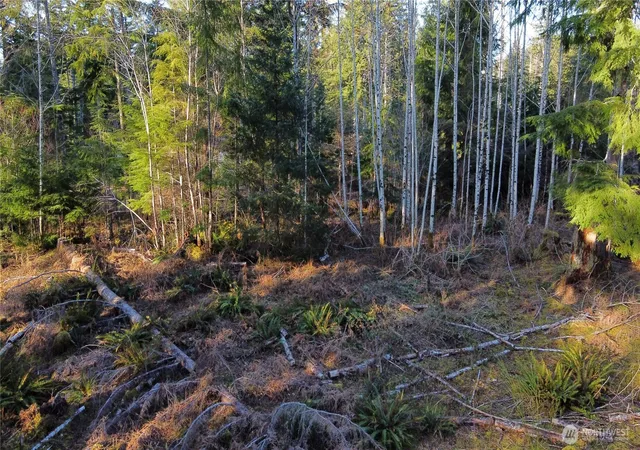 Photo 4 of Land for sale at 579 Thomas St, Forks, WA 98331 | MLS# NWM2481458 | Listing updated on 2026-09-17
