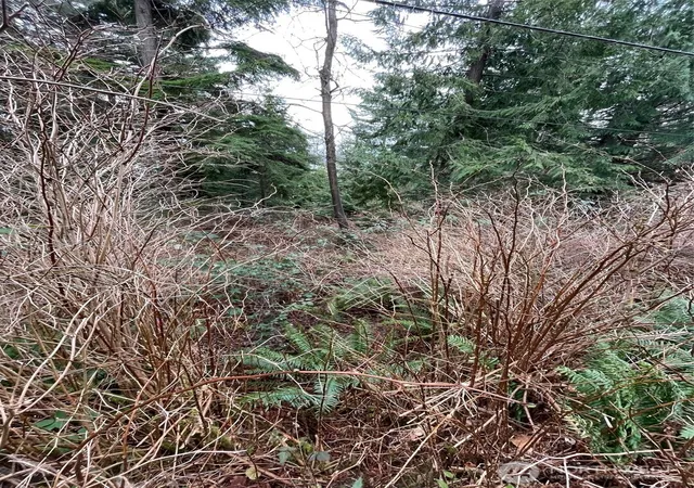 Photo 1 of Land for sale at 1268 Island Dr, Lummi Island, WA 98262 | MLS# NWM2482097 | Listing updated on 2026-09-17