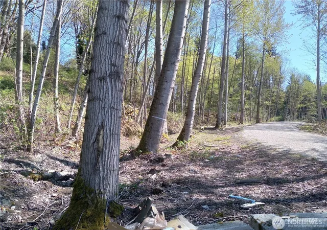 Photo 4 of Land for sale at 10043 SE Carr Rd, Renton, WA 98055 | MLS# NWM2482243 | Listing updated on 2026-09-17