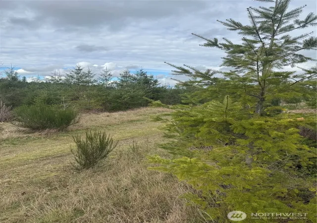 Photo 2 of Land for sale at 31101 Se Retreat Kanaskat Rd, Ravensdale, WA 98051 | MLS# NWM2482756 | Listing updated on 2026-09-17