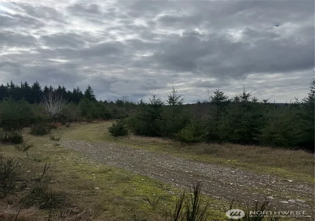 Photo 3 of Land for sale at 31101 Se Retreat Kanaskat Rd, Ravensdale, WA 98051 | MLS# NWM2482756 | Listing updated on 2026-09-17