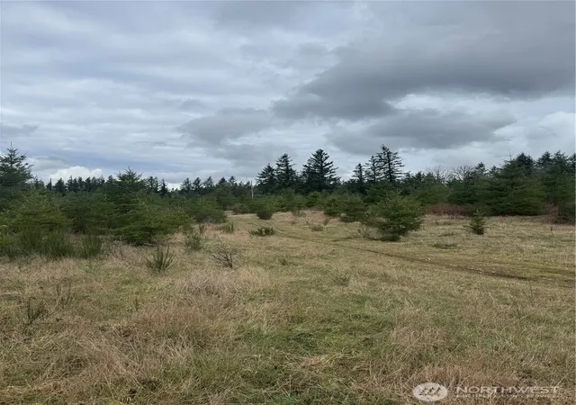 Photo 3 of Land for sale at 31101 SE Retreat Kanaskat Rd, Ravensdale, WA 98051 | MLS# NWM2482756 | Listing updated on 2026-09-17