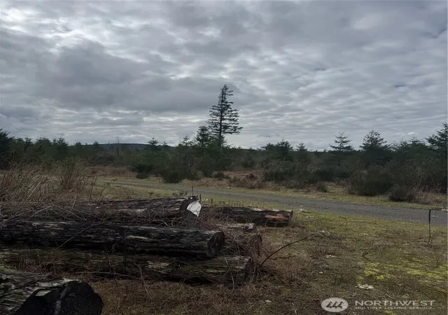 Photo 4 of Land for sale at 31101 SE Retreat Kanaskat Rd, Ravensdale, WA 98051 | MLS# NWM2482756 | Listing updated on 2026-09-17