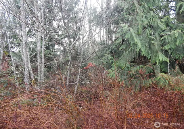 Photo 4 of Land for sale at 9999 Farrington Rd, Port Angeles, WA 98363 | MLS# NWM2482910 | Listing updated on 2026-09-17