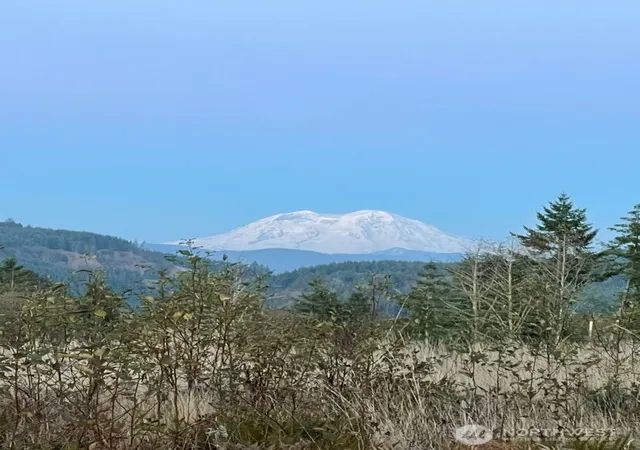 Photo 1 of Land for sale at 0 Salmon Crk Rd #0, Mossyrock, WA 98564 | MLS# NWM2482986 | Listing updated on 2026-09-17