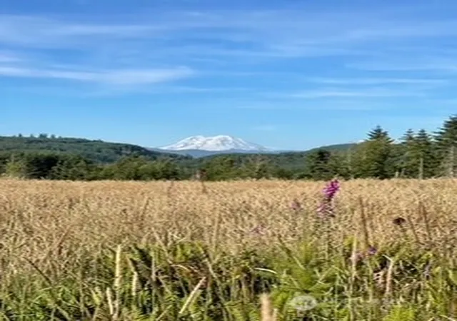 Photo 2 of Land for sale at 0 Salmon Crk Rd #0, Mossyrock, WA 98564 | MLS# NWM2482986 | Listing updated on 2026-09-17