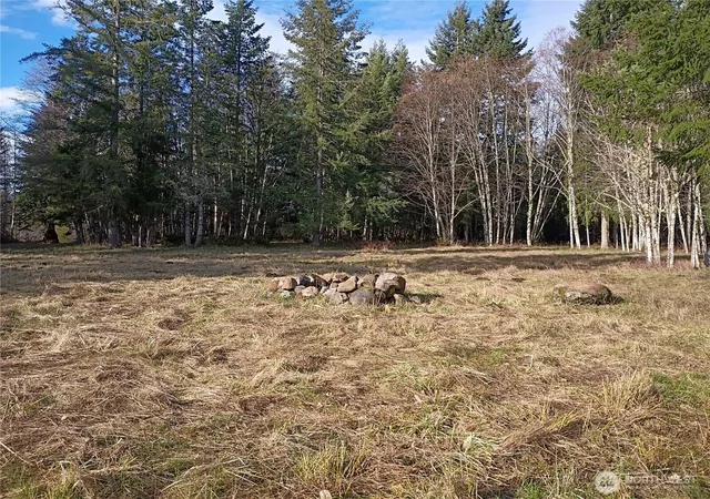 Photo 3 of Land for sale at 0 Salmon Crk Rd #0, Mossyrock, WA 98564 | MLS# NWM2482986 | Listing updated on 2026-09-17