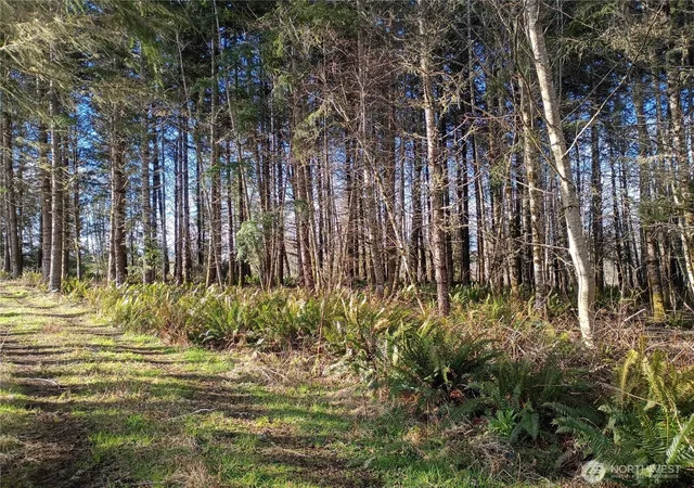 Photo 3 of Land for sale at 0 Salmon Crk Rd #0, Mossyrock, WA 98564 | MLS# NWM2482986 | Listing updated on 2026-09-17