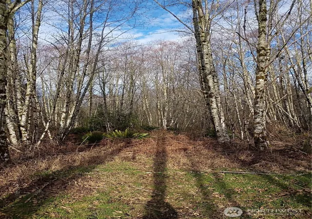 Photo 4 of Land for sale at 0 Salmon Crk Rd #0, Mossyrock, WA 98564 | MLS# NWM2482986 | Listing updated on 2026-09-17