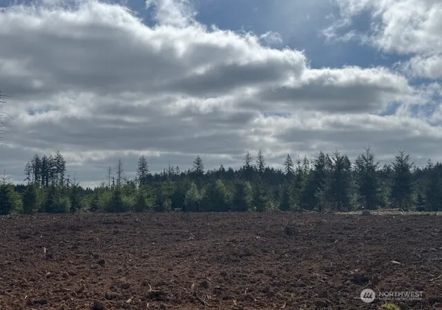 Photo 4 of Land for sale at 380 Hawkins Rd, Winlock, WA 98596 | MLS# NWM2483213 | Listing updated on 2026-09-23