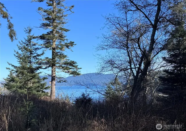 Photo 3 of Land for sale at 0 Davis Beach Rd, Decatur Island, WA 98221 | MLS# NWM2483241 | Listing updated on 2026-09-22