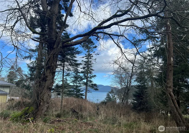 Photo 3 of Land for sale at 0 Davis Beach Rd, Decatur Island, WA 98221 | MLS# NWM2483241 | Listing updated on 2026-09-22