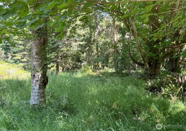Photo 4 of Land for sale at 0 Davis Beach Rd, Decatur Island, WA 98221 | MLS# NWM2483241 | Listing updated on 2026-09-22