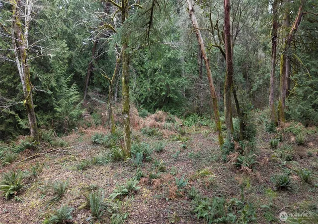 Photo 3 of Land for sale at 8900 Adams Ln Nw, Olympia, WA 98502 | MLS# NWM2483460 | Listing updated on 2026-09-17
