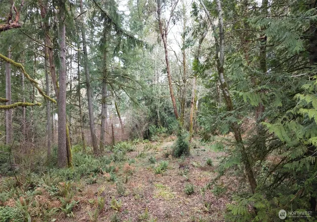 Photo 3 of Land for sale at 8900 Adams Ln NW, Olympia, WA 98502 | MLS# NWM2483460 | Listing updated on 2026-09-17