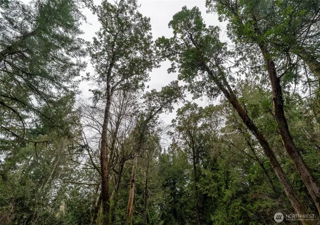 Photo 4 of Land for sale at 8900 Adams Ln NW, Olympia, WA 98502 | MLS# NWM2483460 | Listing updated on 2026-09-17