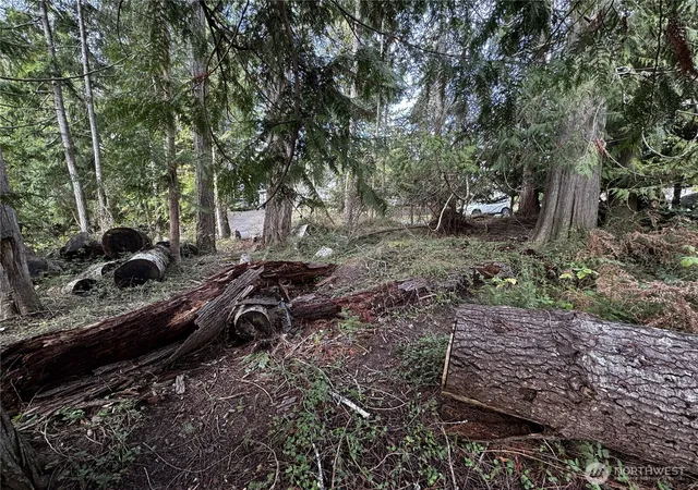 Photo 4 of Land for sale at 9810 Channel Dr NW, Olympia, WA 98502 | MLS# NWM2483533 | Listing updated on 2026-09-17