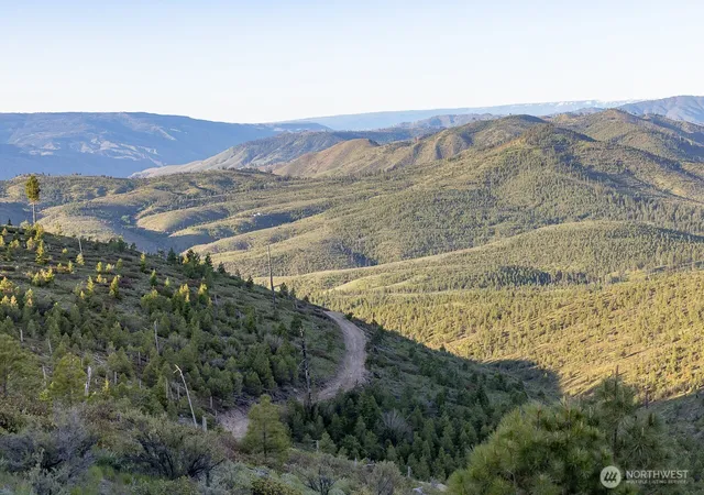 Photo 4 of Land for sale at 5 Usfs 5350, Chelan, WA 98816 | MLS# NWM2483552 | Listing updated on 2026-09-17