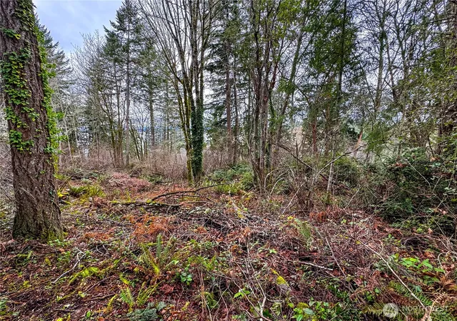 Photo 2 of Land for sale at 468 3rd Court, Fox Island, WA 98333 | MLS# NWM2483599 | Listing updated on 2026-09-17