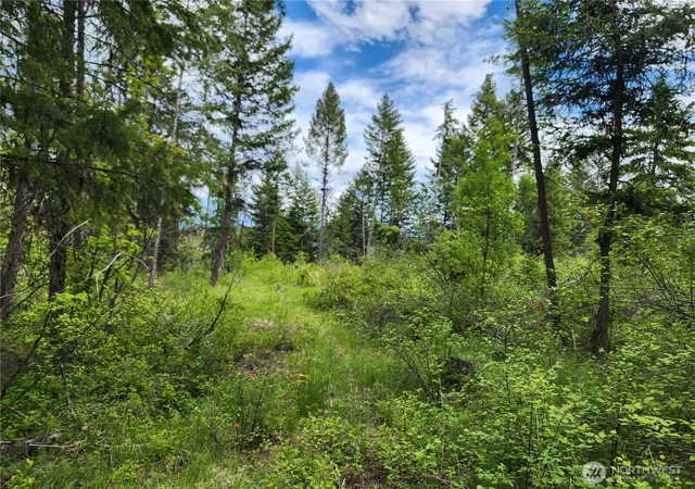 Photo 1 of Land for sale at 318 Rockabye Ln, Curlew, WA 99118 | MLS# NWM2484044 | Listing updated on 2026-09-24