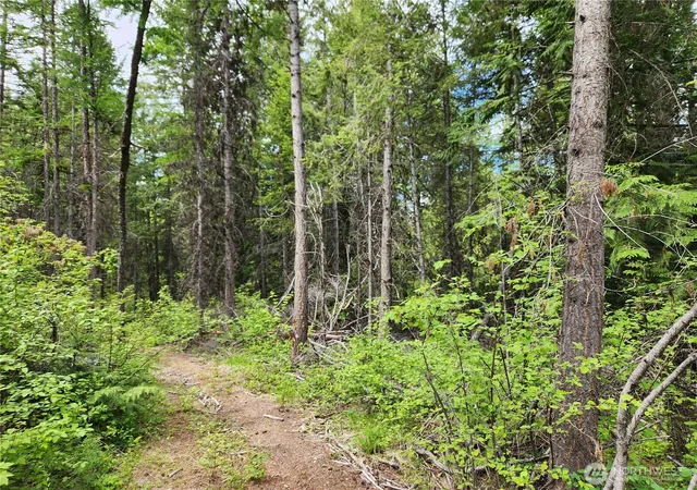 Photo 2 of Land for sale at 318 Rockabye Ln, Curlew, WA 99118 | MLS# NWM2484044 | Listing updated on 2026-09-24