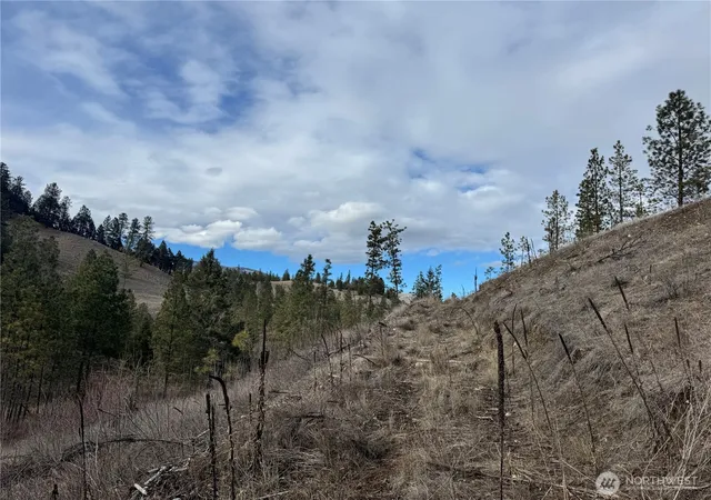 Photo 2 of Land for sale at 6 Lot Tbd Lundimo Meadows, Curlew, WA 99118 | MLS# NWM2484112 | Listing updated on 2026-09-17