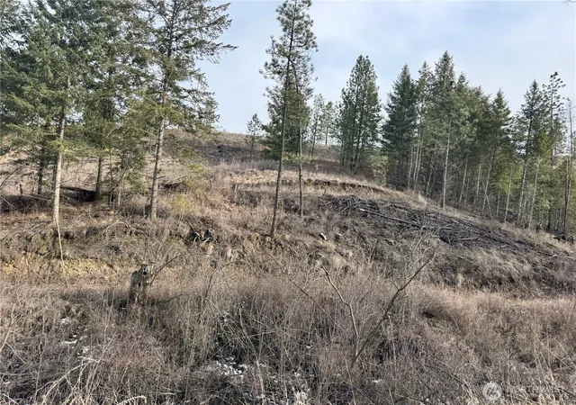 Photo 3 of Land for sale at 6 Lot Tbd Lundimo Meadows, Curlew, WA 99118 | MLS# NWM2484112 | Listing updated on 2026-09-17