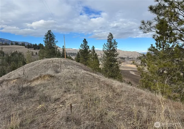 Photo 4 of Land for sale at 6 Lot Tbd Lundimo Meadows, Curlew, WA 99118 | MLS# NWM2484112 | Listing updated on 2026-09-17