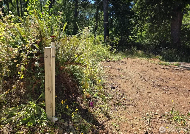 Photo 3 of Land for sale at 351 W Haven Dr, Elma, WA 98541 | MLS# NWM2484120 | Listing updated on 2026-09-17