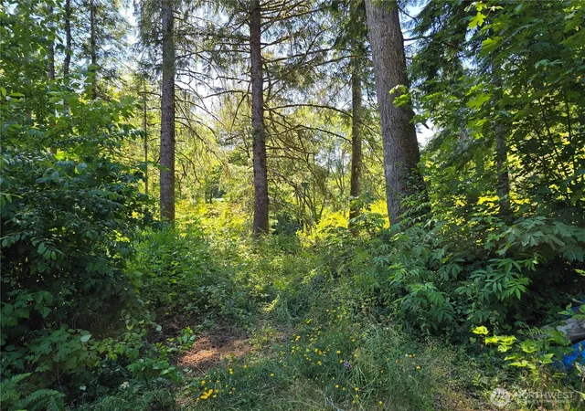 Photo 4 of Land for sale at 351 W Haven Dr, Elma, WA 98541 | MLS# NWM2484120 | Listing updated on 2026-09-17
