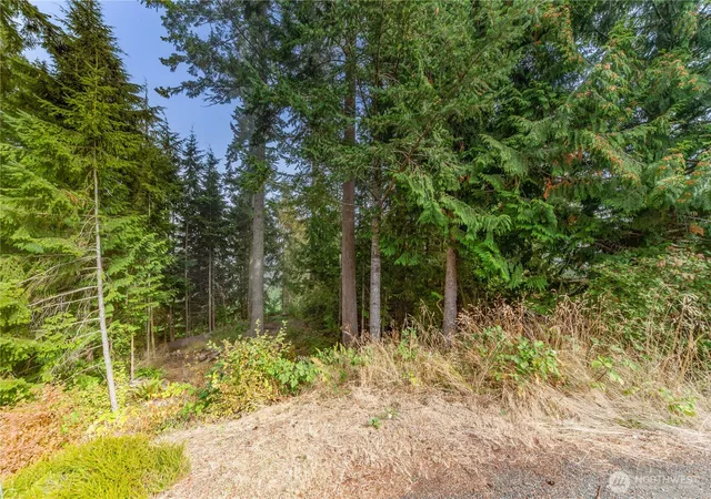Photo 3 of Land for sale at 36 Dunbar Ct, Port Ludlow, WA 98365 | MLS# NWM2484247 | Listing updated on 2026-09-17