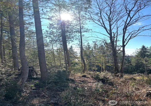 Photo 1 of Land for sale at 1 Nka Yashi Rd, Brinnon, WA 98320 | MLS# NWM2484526 | Listing updated on 2026-09-17