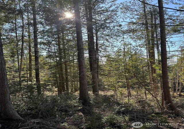 Photo 3 of Land for sale at 1 Nka Yashi Rd, Brinnon, WA 98320 | MLS# NWM2484526 | Listing updated on 2026-09-17