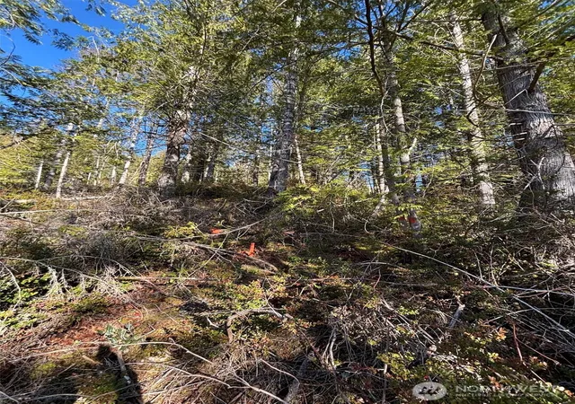 Photo 3 of Land for sale at 1 Nka Yashi Rd, Brinnon, WA 98320 | MLS# NWM2484526 | Listing updated on 2026-09-17