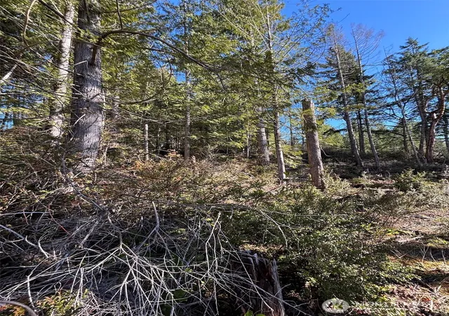 Photo 4 of Land for sale at 1 Nka Yashi Rd, Brinnon, WA 98320 | MLS# NWM2484526 | Listing updated on 2026-09-17