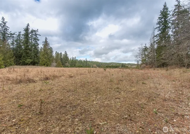 Photo 4 of Land for sale at 0 Lot 1 Hwy 101, Sequim, WA 98382 | MLS# NWM2484686 | Listing updated on 2026-09-17