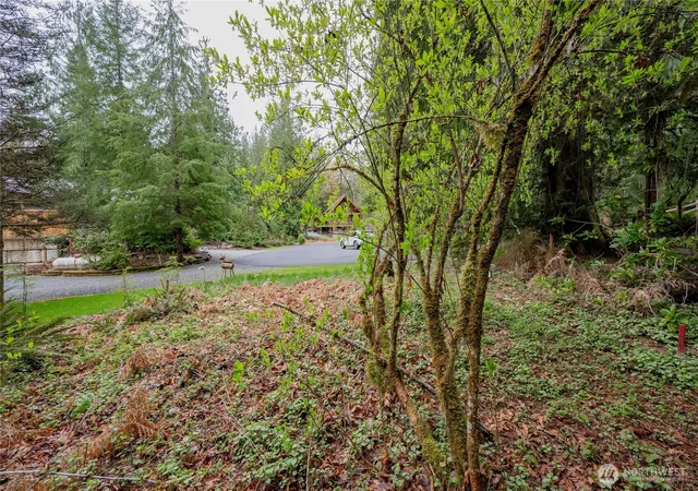 Photo 3 of Land for sale at 14039 Chimney Ln, Deming, WA 98244 | MLS# NWM2485045 | Listing updated on 2026-09-17