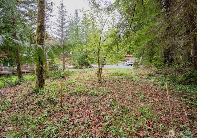 Photo 4 of Land for sale at 14039 Chimney Ln, Deming, WA 98244 | MLS# NWM2485045 | Listing updated on 2026-09-17