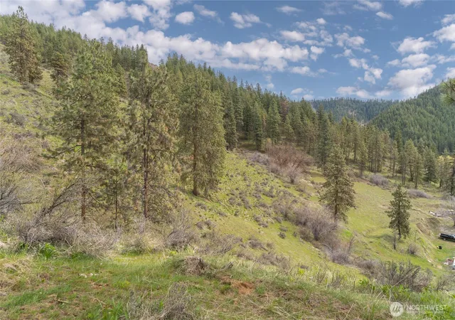 Photo 3 of Land for sale at 4681 Brisky Cyn Rd, Cashmere, WA 98815 | MLS# NWM2485237 | Listing updated on 2026-09-17