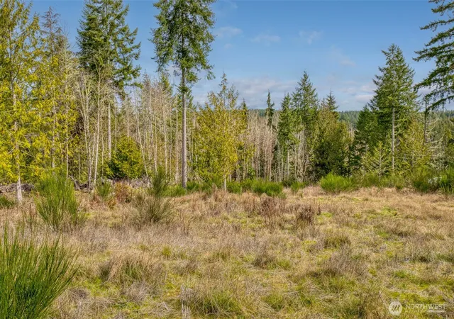 Photo 3 of Land for sale at 1 Larson Ln NW, Seabeck, WA 98380 | MLS# NWM2485475 | Listing updated on 2026-09-17