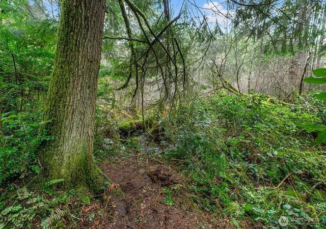 Photo 1 of Land for sale at 0 Sw 220th Street, Vashon, WA 98070 | MLS# NWM2485691 | Listing updated on 2026-09-17