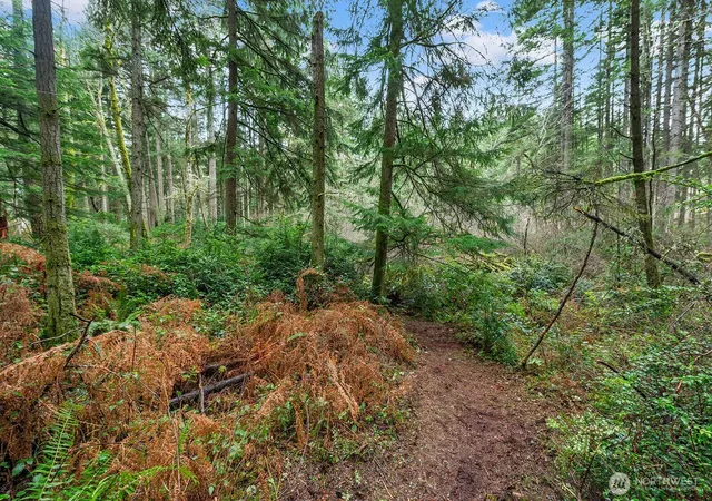 Photo 2 of Land for sale at 0 Sw 220th Street, Vashon, WA 98070 | MLS# NWM2485691 | Listing updated on 2026-09-17