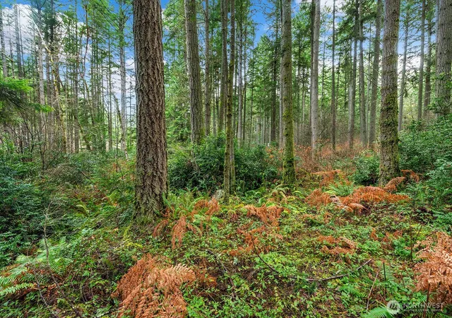 Photo 3 of Land for sale at 0 Sw 220th Street, Vashon, WA 98070 | MLS# NWM2485691 | Listing updated on 2026-09-17