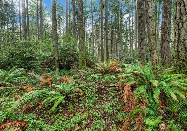 Photo 3 of Land for sale at 0 SW 220th Street, Vashon, WA 98070 | MLS# NWM2485691 | Listing updated on 2026-09-17
